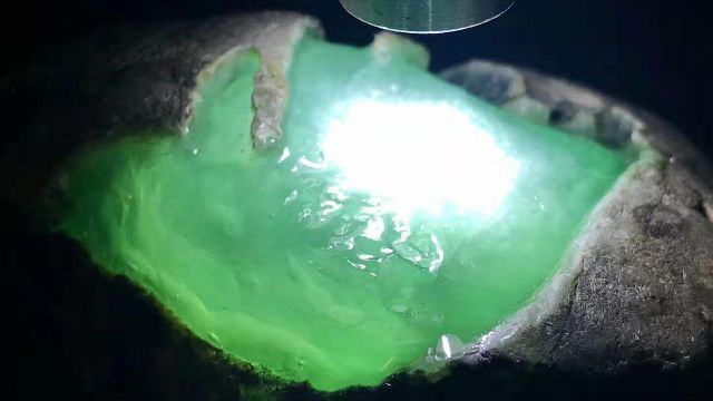 翡翠鳳凰魚養殖技術要點，翡翠鳳凰魚養殖技術要點，