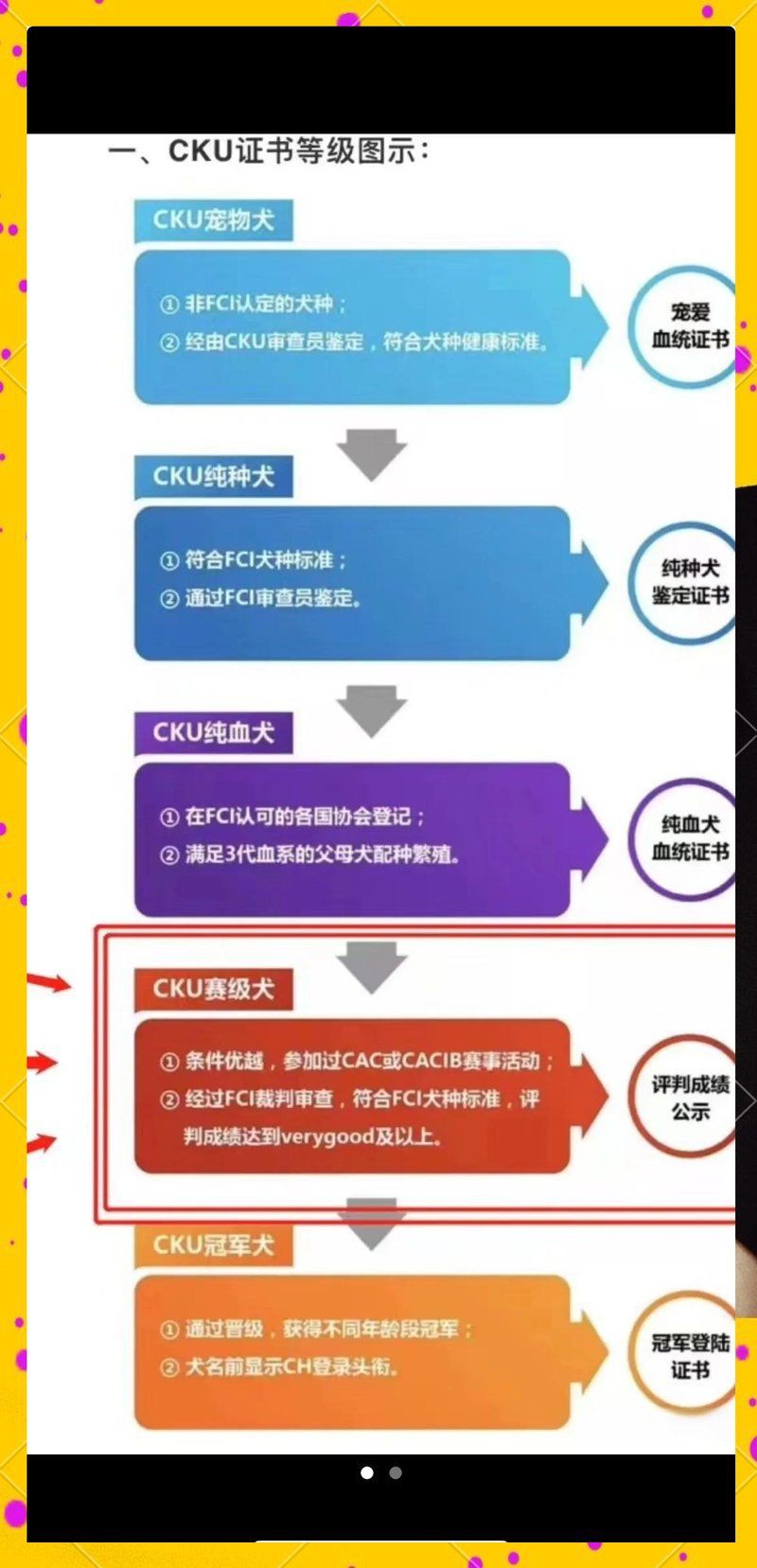 血統級和賽級有什么區別