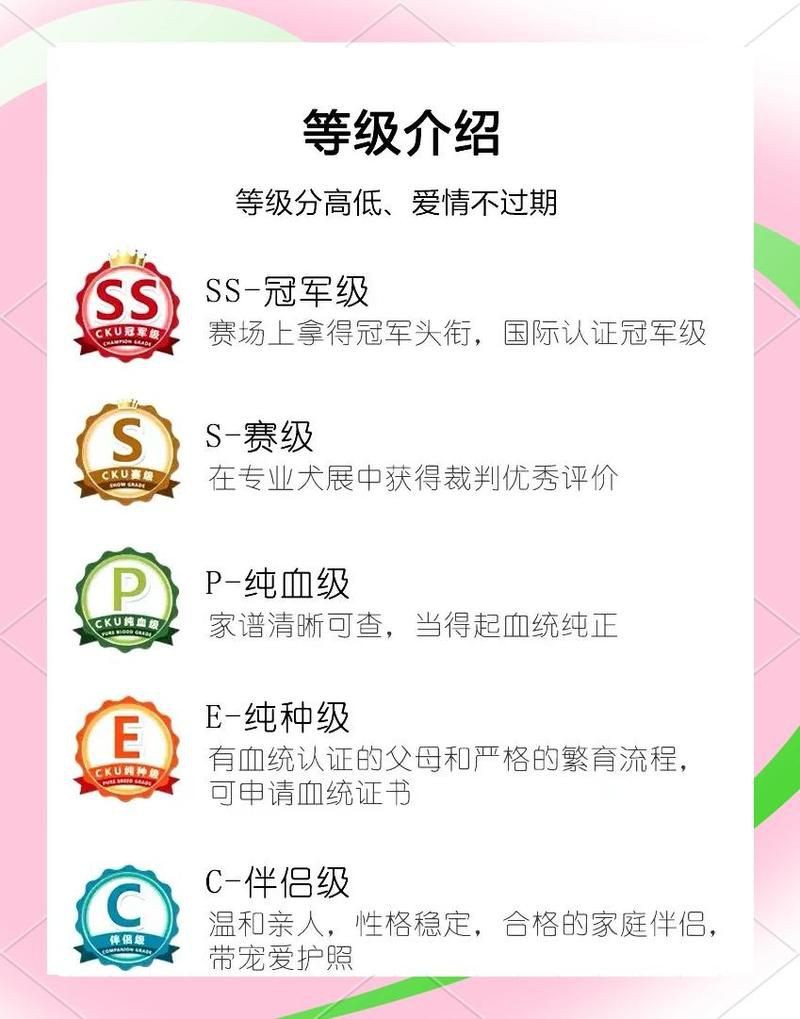 血統級和賽級有什么區別