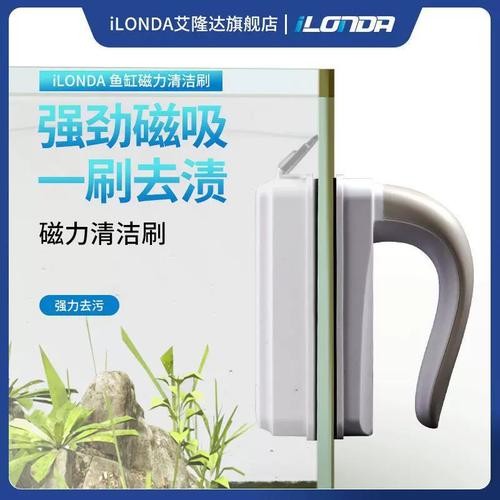 龍魚缸的清理和換水頻率