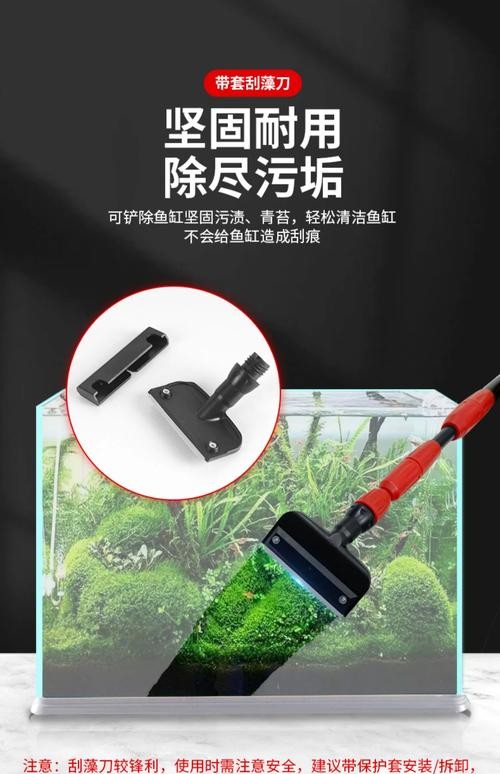 龍魚缸的清理和換水頻率