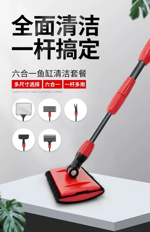 龍魚缸的清理和換水頻率