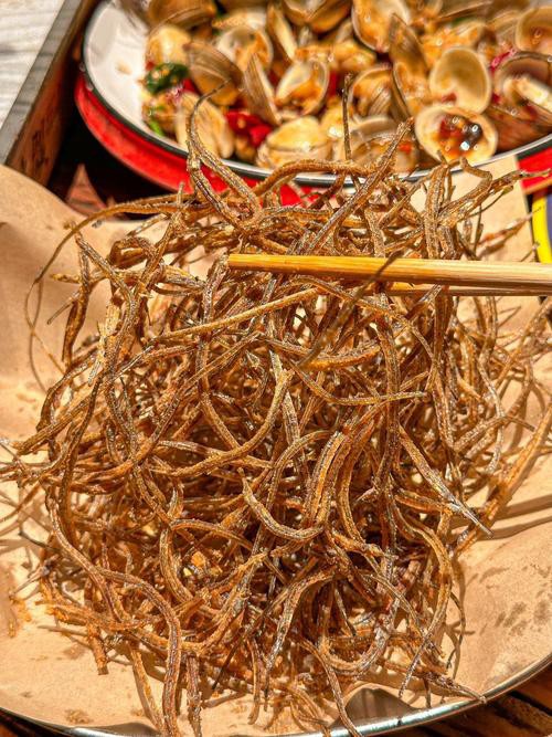 野生海龍魚的圖片高清