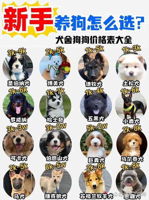 這兩種稀有品種的價格是多少？ 這兩種稀有品種的價格是多少？ 龍魚百科 第11張