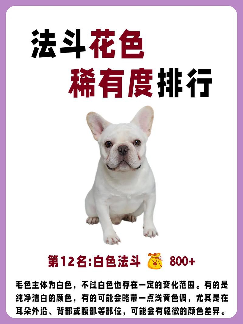 這兩種稀有品種的價格是多少？ 這兩種稀有品種的價格是多少？ 龍魚百科 第10張
