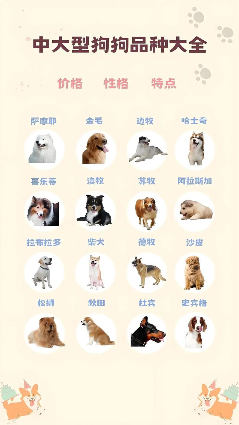 這兩種稀有品種的價格是多少？ 這兩種稀有品種的價格是多少？ 龍魚百科 第8張