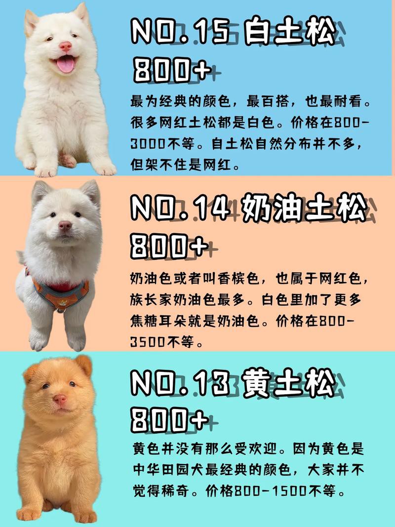 這兩種稀有品種的價格是多少？ 這兩種稀有品種的價格是多少？ 龍魚百科 第7張