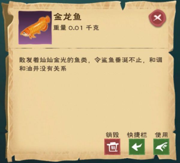 金龍魚板塊，深入分析金龍魚板塊 金龍魚板塊，深入分析金龍魚板塊 龍魚百科 第5張