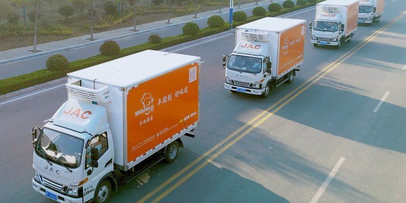 金龍魚板塊，深入分析金龍魚板塊 金龍魚板塊，深入分析金龍魚板塊 龍魚百科 第3張