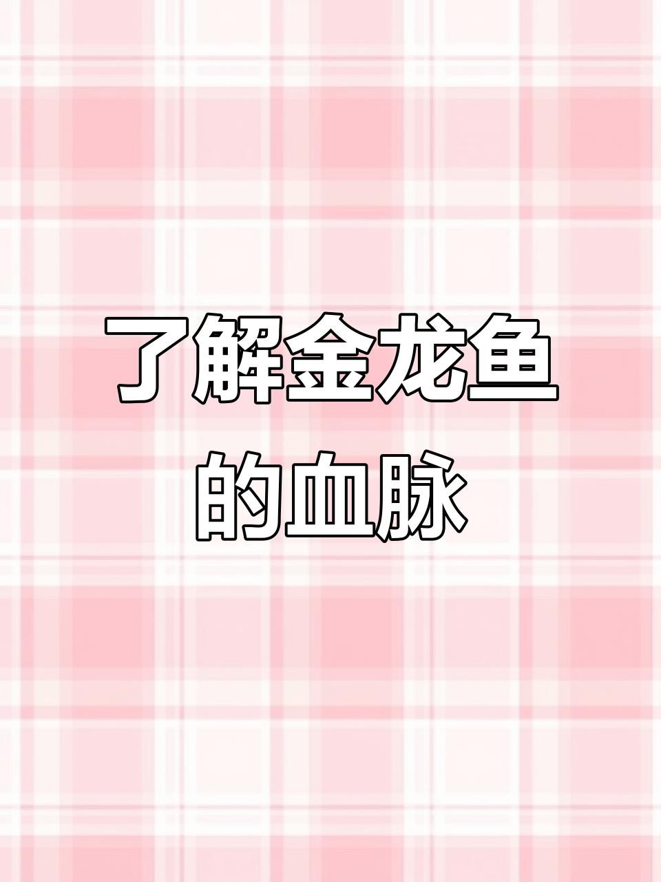 怎樣區分過背金龍魚與其他品種？ 怎樣區分過背金龍魚與其他品種？ 龍魚百科 第6張