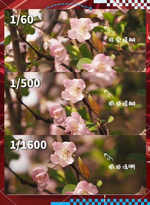 如何設置相機的ISO和快門速度？