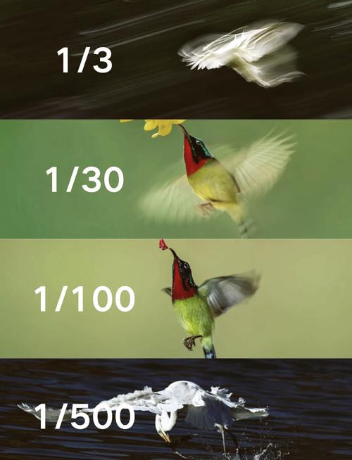 如何設置相機的ISO和快門速度？