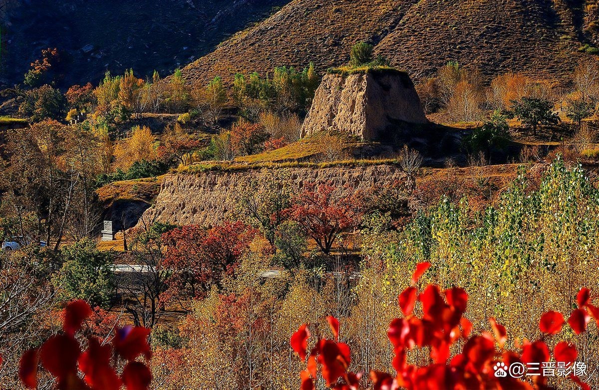 如何設置相機的ISO和快門速度？