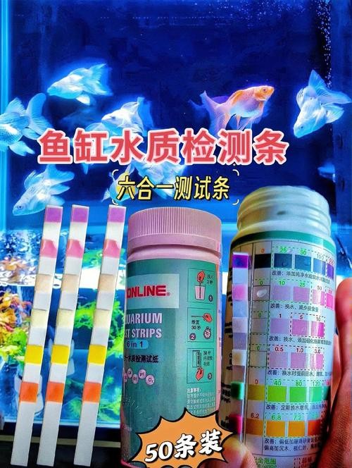 龍魚的魚鰭開裂 龍魚的魚鰭開裂 龍魚百科 第5張