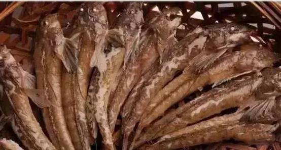 潮汕金龍魚是什么魚做的菜