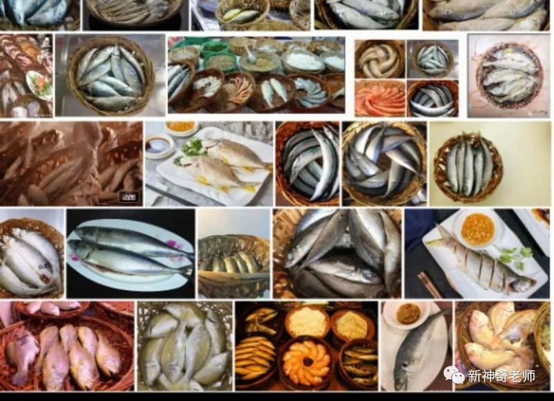 潮汕金龍魚是什么魚做的菜