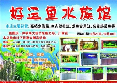 高檔龍魚專用缸推薦（購買高檔龍魚缸的注意事項）