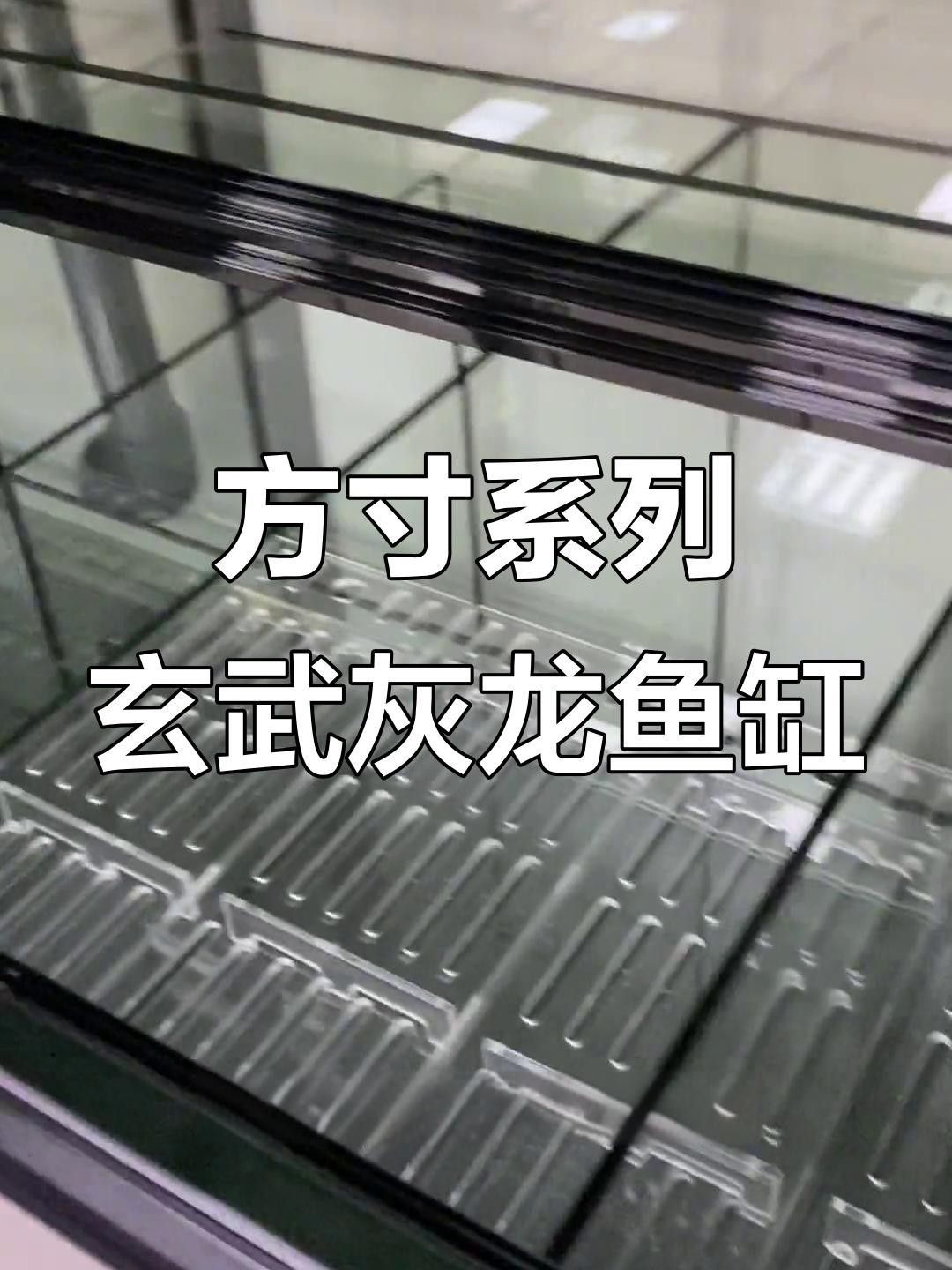 有哪些品牌的龍魚魚缸推薦？ 有哪些品牌的龍魚魚缸推薦？ 龍魚百科 第2張