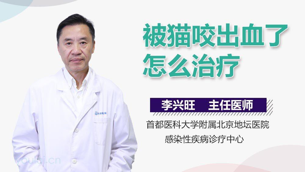 如何護理被龍貓咬傷的傷口？ 如何護理被龍貓咬傷的傷口？ 龍魚百科 第2張