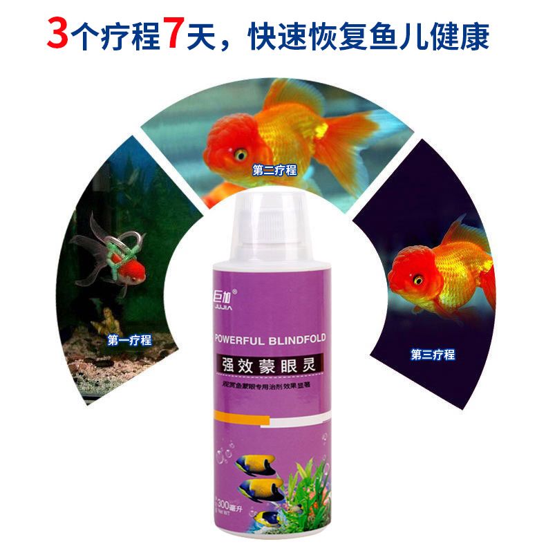 龍魚蒙眼病用什么藥好使（治療龍魚蒙眼病時需要注意什么，龍魚蒙眼病的日常預(yù)防方法）