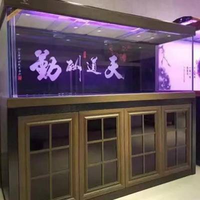 福州龍魚專賣店