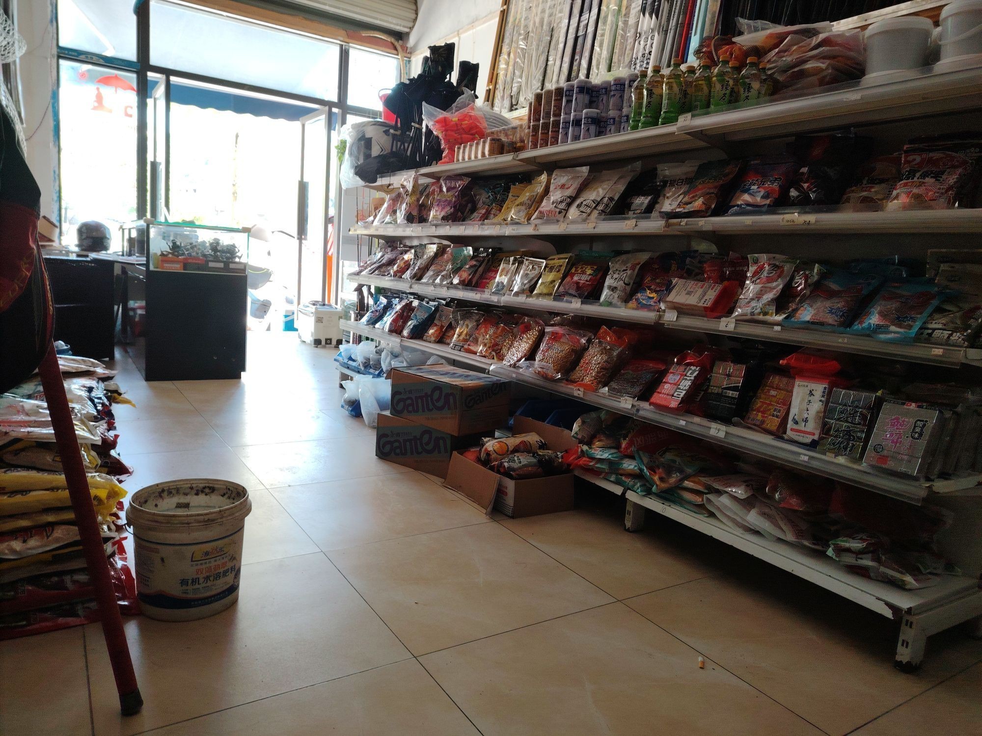 福州龍魚專賣店