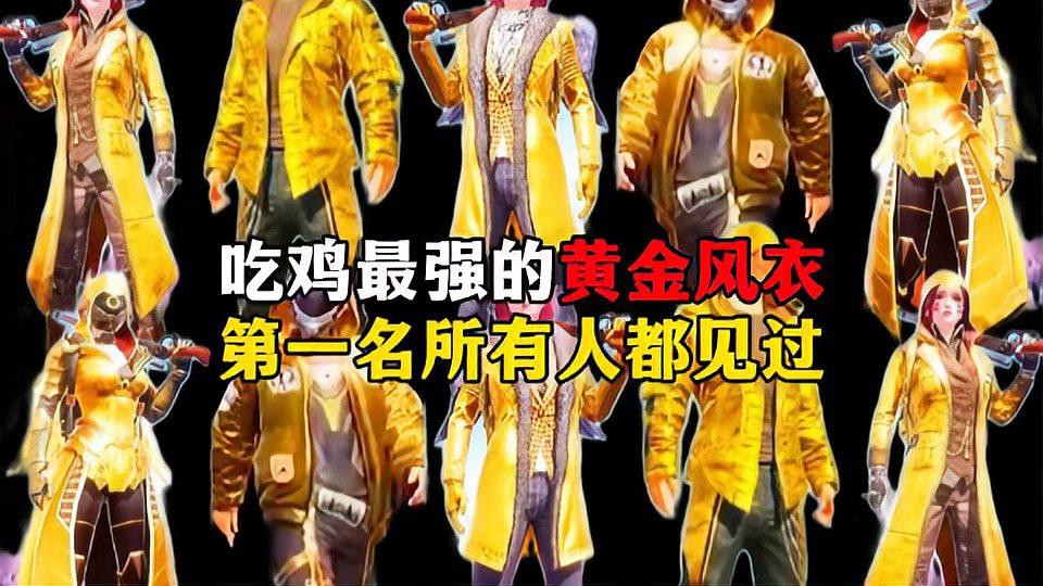 《和平精英》中金龍皮膚有哪些型號？