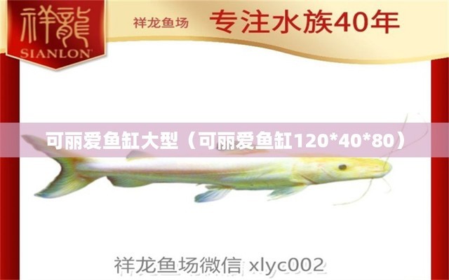 魚缸多長時間換水的正確方法（魚缸換水后如何調節水溫）