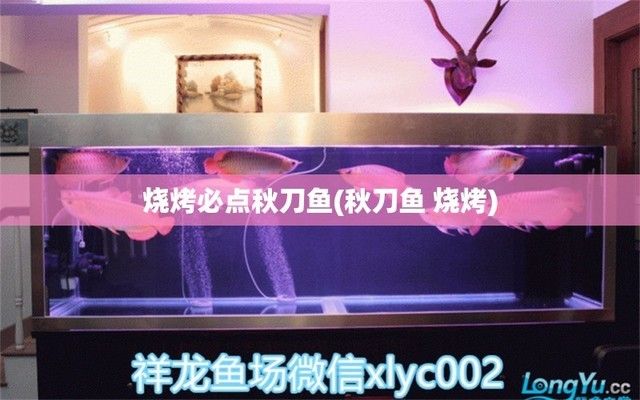 杰西卡恐龍魚飲食搭配建議：如何判斷杰西卡恐龍魚飽腹，杰西卡恐龍魚飼料自制方法