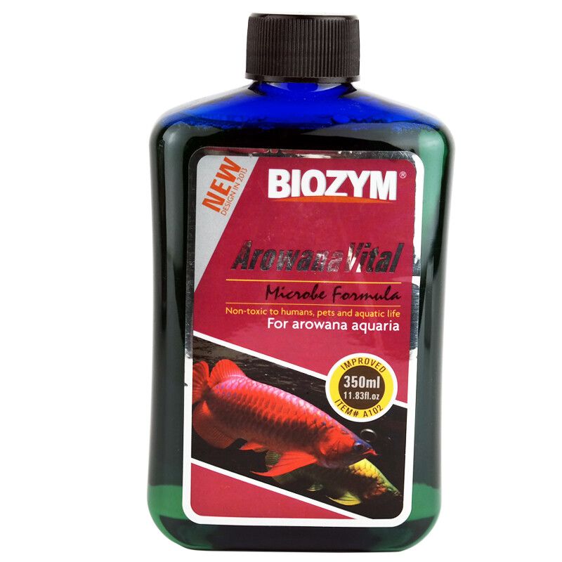 龍魚喂什么長的快：龍魚幼苗階段的喂養策略和注意飼料的選擇和搭配方法