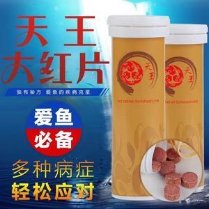 金龍魚底色有幾種顏色組成：金龍魚的底色是由多種顏色組成的，這些顏色組成的主要顏色
