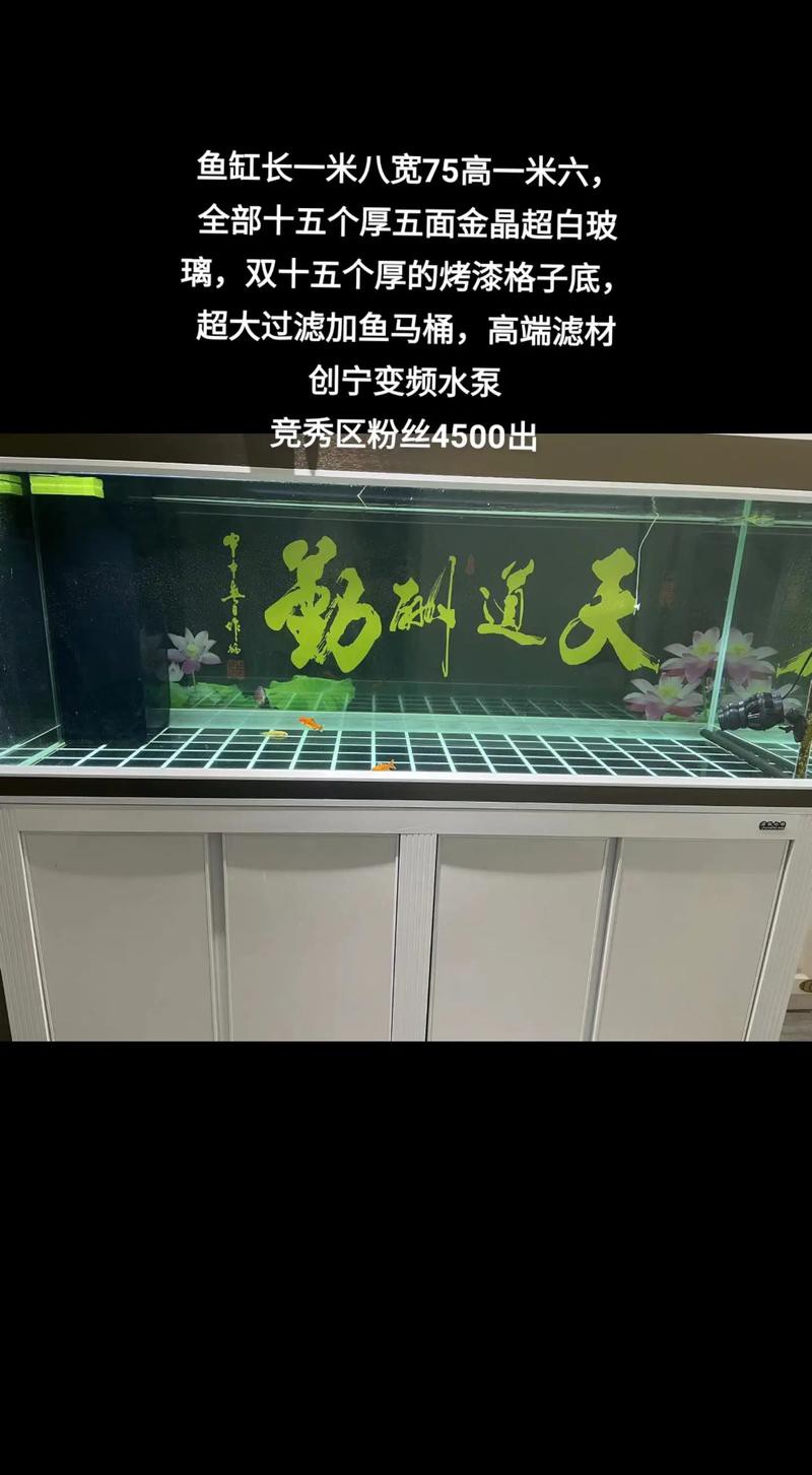 如何選擇合適的水族箱品牌？