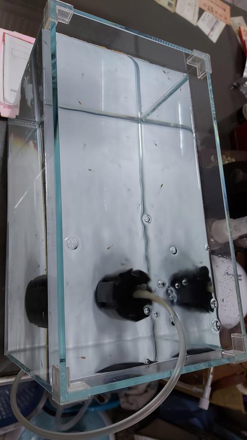 如何選擇合適的水族箱品牌？