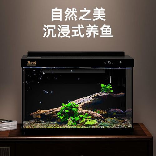 如何選擇合適的水族箱品牌？