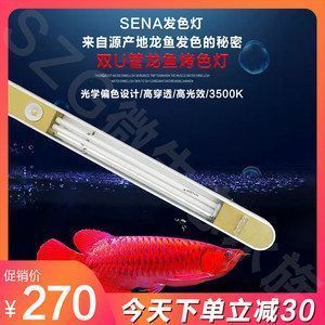 龍魚發(fā)色專用燈怎么用（-金龍系龍魚發(fā)色專用燈使用指南，照亮龍魚美麗之旅）