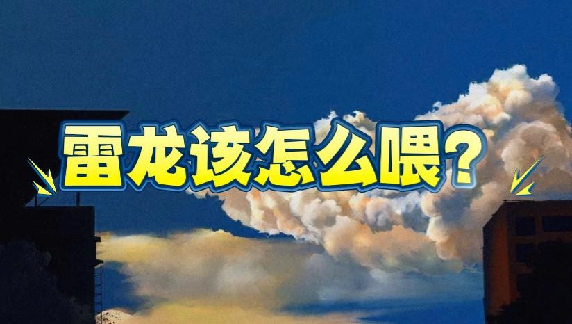 雷龍魚喂什么食物最好？