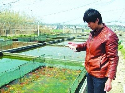 家里養的龍魚由于換水死了好不好（家里養的龍魚換水不當，可能會導致龍魚死亡）
