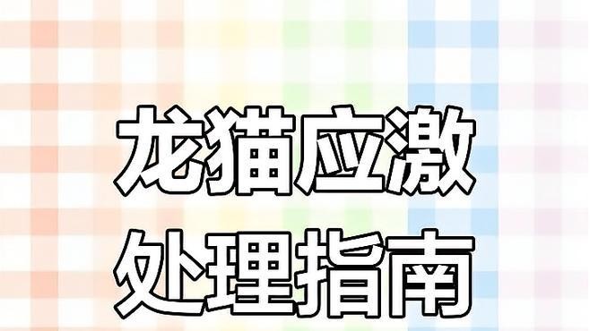 龍貓被貓嚇到會自愈嗎？