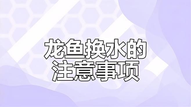 紅龍魚換水注意事項