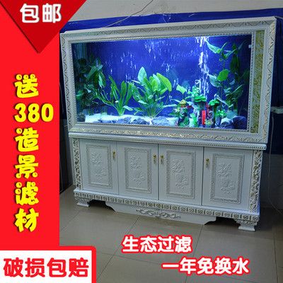 龍魚進缸多久可以換水 龍魚進缸多久可以換水 龍魚百科 第3張