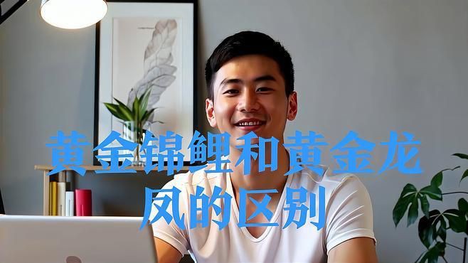 龍鳳錦鯉和黃金錦鯉的區別