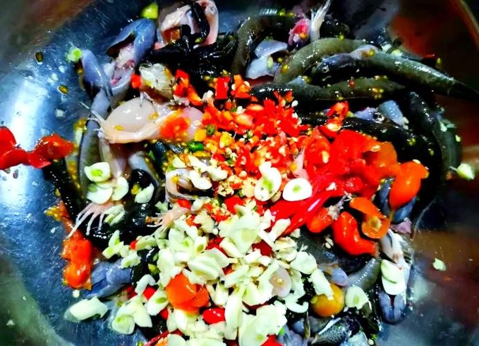 馬古龍魚是啥樣的圖片