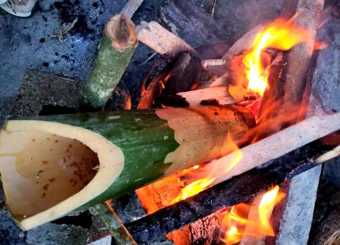 馬古龍魚是啥樣的圖片