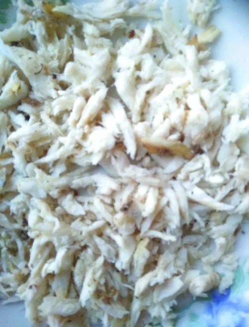 馬古龍魚是啥樣的圖片