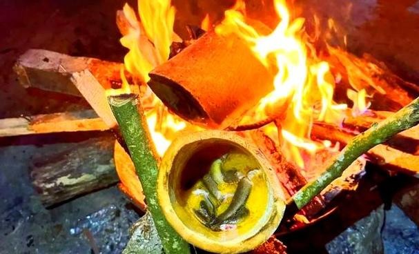 馬古龍魚是啥樣的圖片