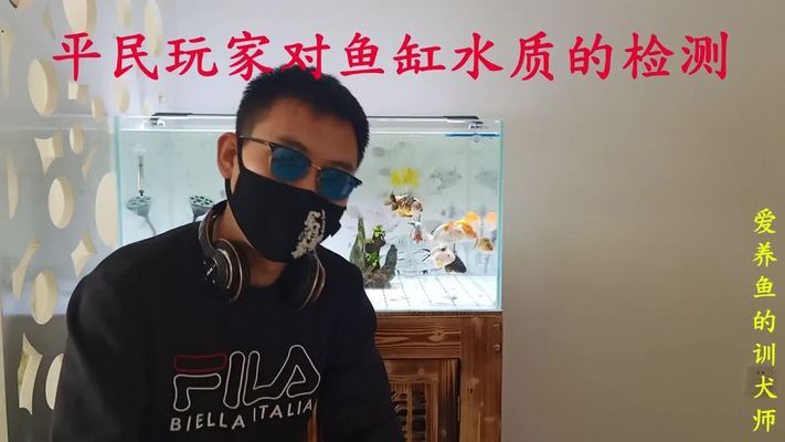 高品質(zhì)金龍魚價格走勢圖表最新版（金龍魚價格走勢分析）