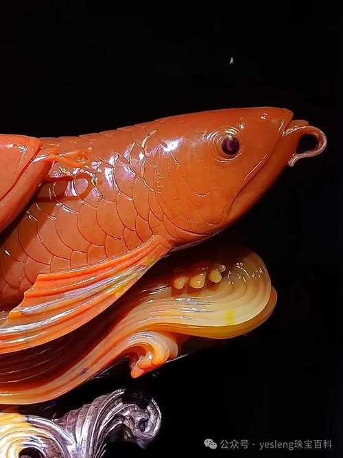 玉雕金龍魚(yú)掛件圖片 玉雕金龍魚(yú)掛件圖片 龍魚(yú)百科 第22張