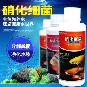 養龍魚必備藥劑是什么意思：\"養龍魚必備藥劑\"