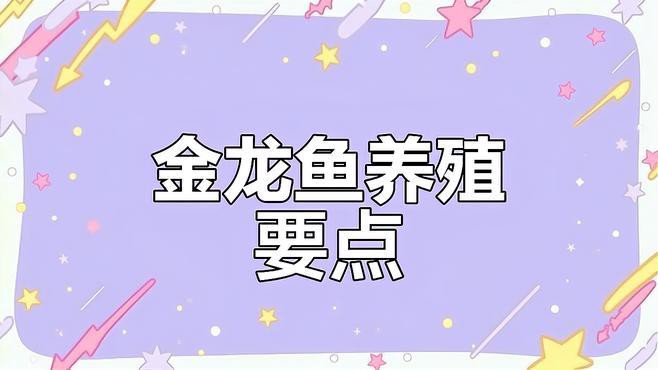 金龍魚要用什么水養(yǎng)好