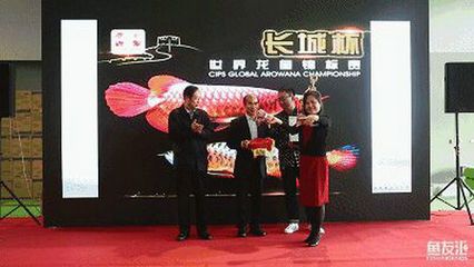 2024長城杯世界龍魚錦標賽（2024長城杯世界龍魚錦標賽,是一場備受矚目的水族界盛事）